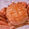 横浜市のおすすめカニ食べ放題まとめ5選【ホテルや安い店、ランチも】